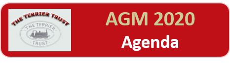 AGM 2020 Agenda button