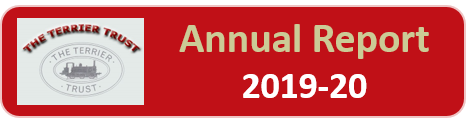 Annual Report 2019 20 button